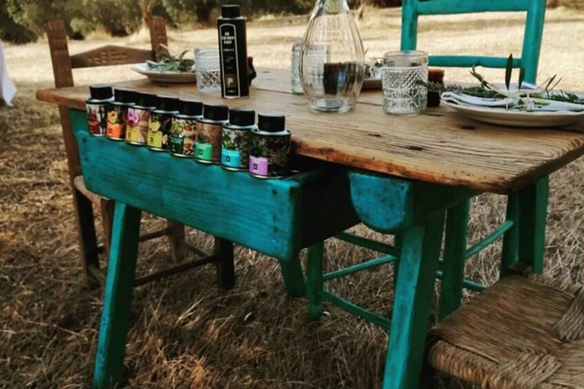 Picture 1 for Activity Sardinian Olive Oil tasting & Picnic among the olive trees