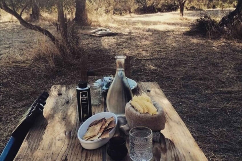 Picture 2 for Activity Sardinian Olive Oil tasting & Picnic among the olive trees