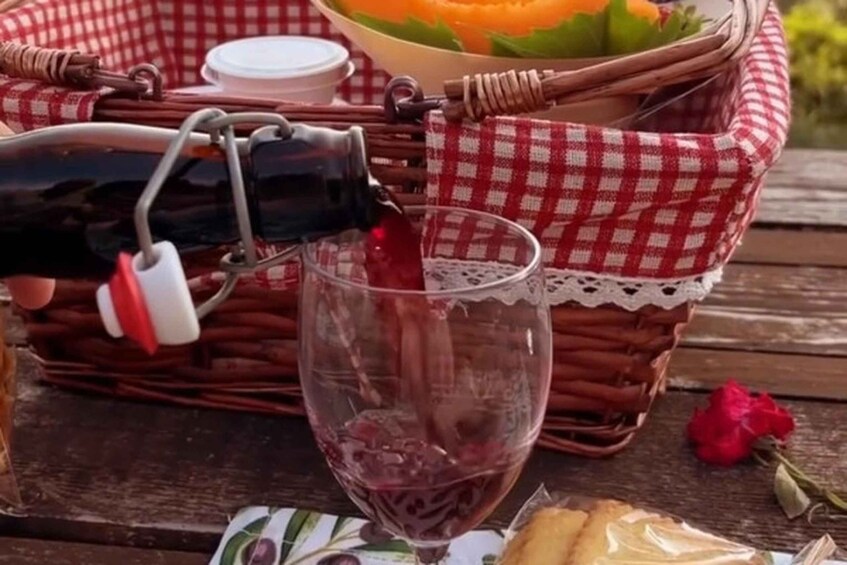 Picture 5 for Activity Sardinian Olive Oil tasting & Picnic among the olive trees