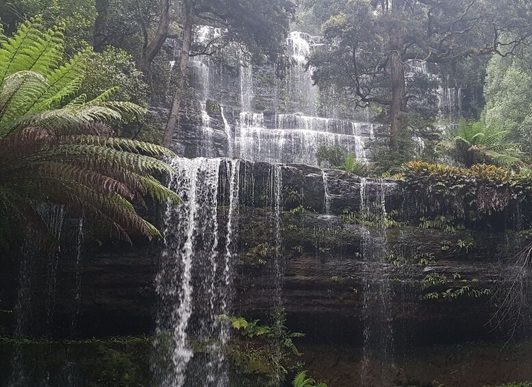 Picture 2 for Activity Hobart: 4 Day Wild Tasmania Tour