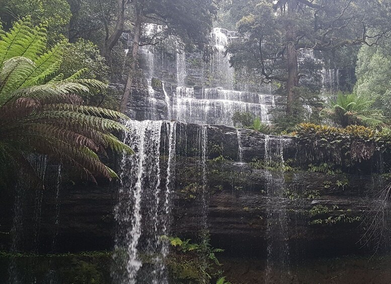 Picture 2 for Activity Hobart: 4 Day Wild Tasmania Tour