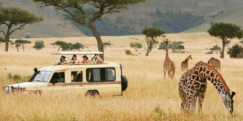 4 Tage Tansania Mid-Range Lodge Safari