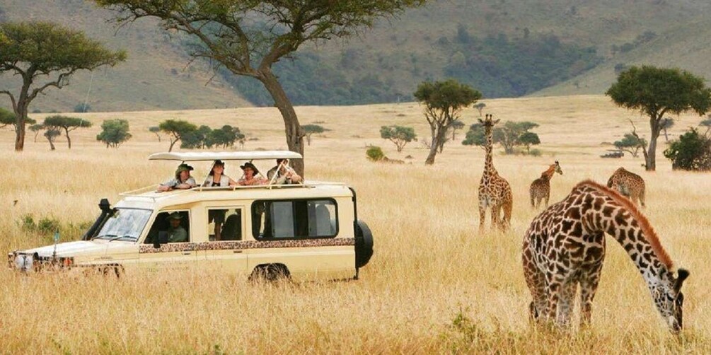 4 Days Tanzania Mid-Range Lodge Safari