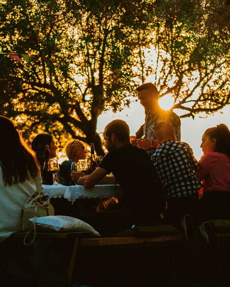 Picture 6 for Activity Lilliu Winery: red wine tasting in the vineyard