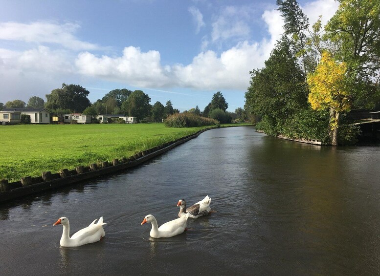 Picture 6 for Activity Amsterdam: Zaanse Schans and Giethoorn Day Trip with Cruise