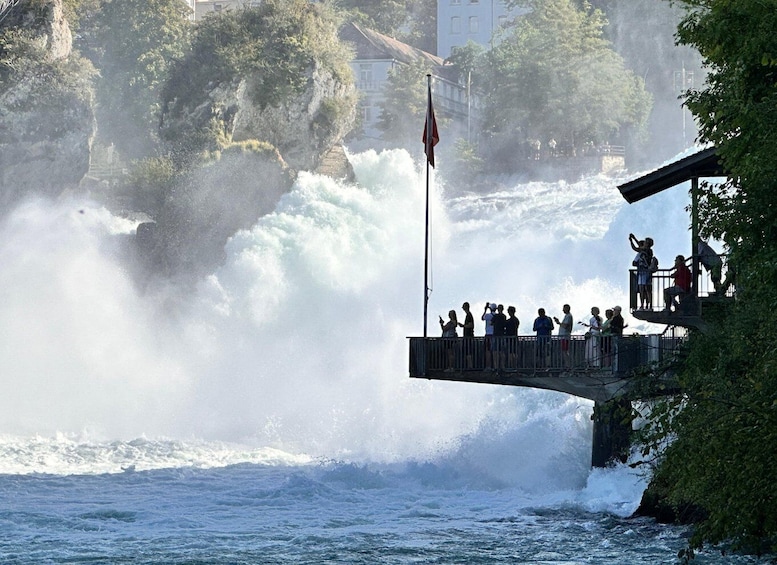 Picture 3 for Activity Private Tour to the Rhine Falls with Pick-up at the Hotel