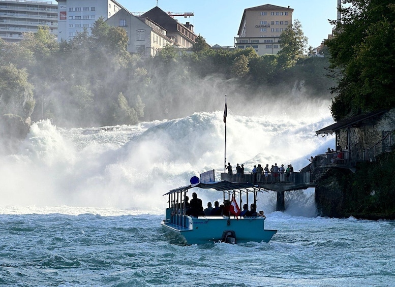 Picture 2 for Activity Private Tour to the Rhine Falls with Pick-up at the Hotel