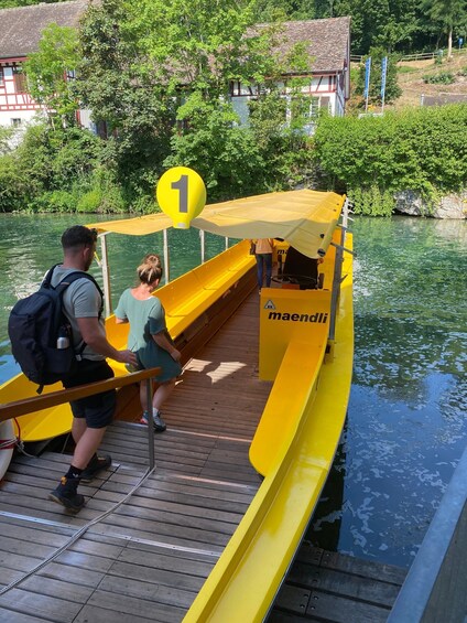 Picture 7 for Activity Private Tour to the Rhine Falls with Pick-up at the Hotel