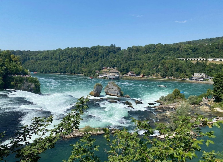 Picture 6 for Activity Private Tour to the Rhine Falls with Pick-up at the Hotel