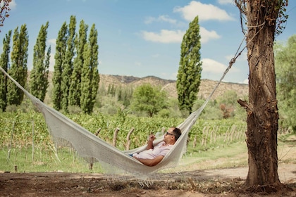 Your Wine Adventure at Luján de Cuyo