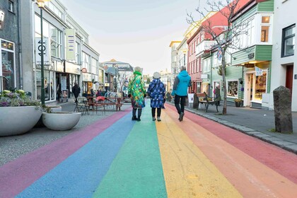 Tur Jalan Kaki Pribadi Kota Reykjavik & Arsitektur Islandia