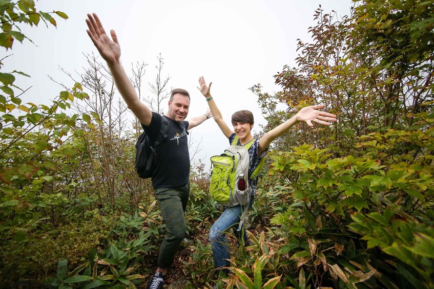 Picture 7 for Activity Hiroshima: Hike up Mt. Omine & Panoramic View with Coffee