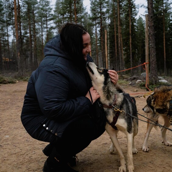 Picture 1 for Activity Rovaniemi: Santa Claus Village, Husky Farm, Reindeer Farm