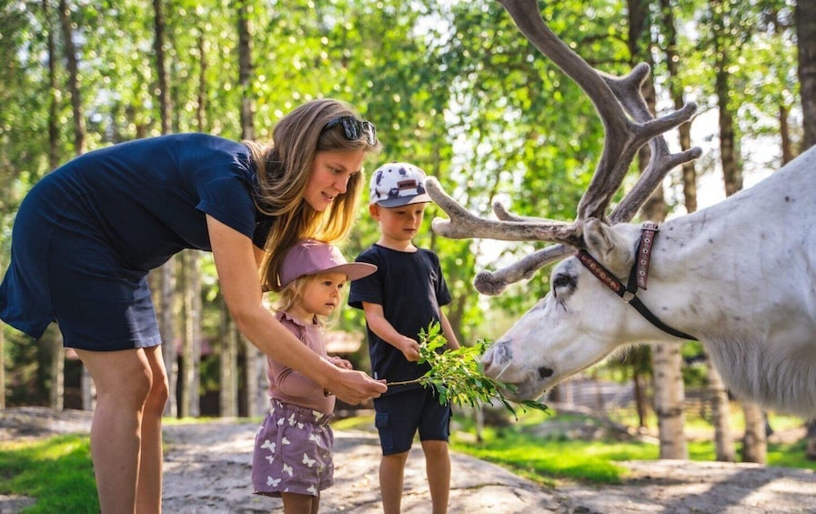 Picture 4 for Activity Rovaniemi: Santa Claus Village, Husky Farm, Reindeer Farm