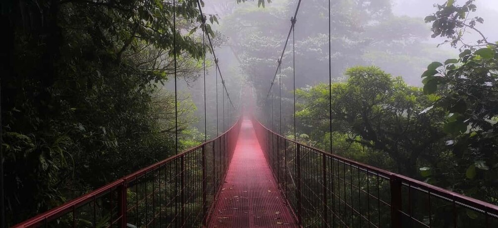 Picture 10 for Activity Monteverde: Exploring the Cloud forest