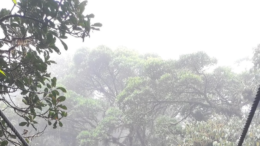 Picture 1 for Activity Monteverde: Exploring the Cloud forest
