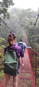 Monteverde: Exploring the Cloud forest