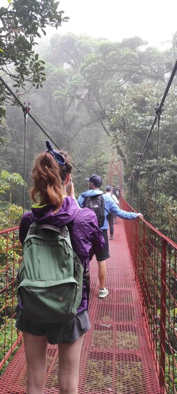 Picture 1 for Activity Monteverde: Exploring the Cloud forest