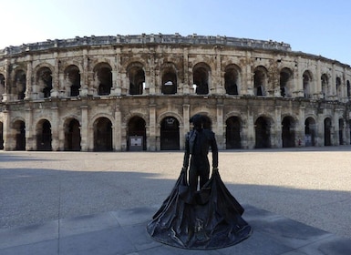 Nîmes: Private Guided Walking Tour