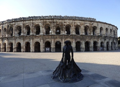 Nîmes: Private Guided Walking Tour