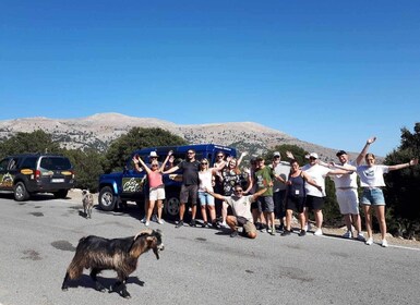 Malia: Paraíso de Creta Oriental (Apto para familias y niños)