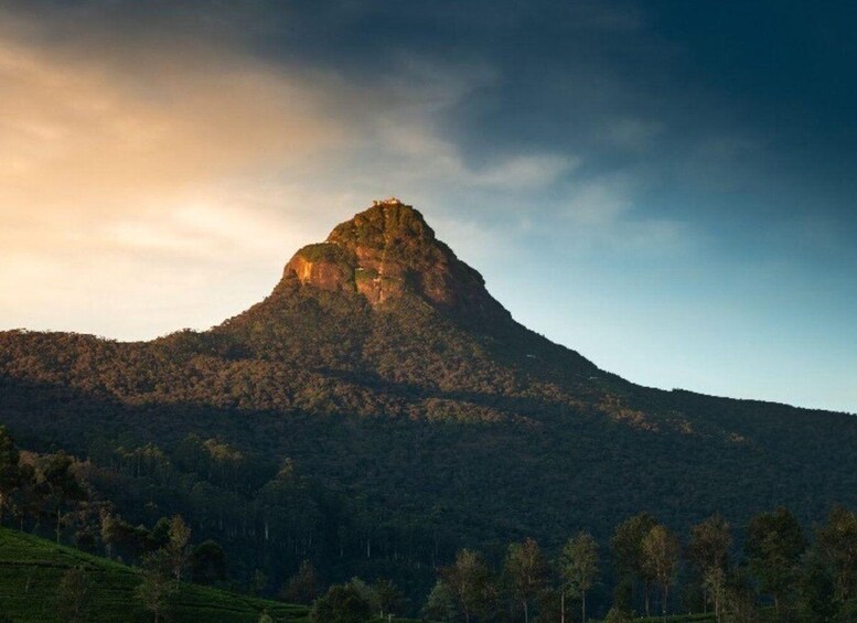 Picture 1 for Activity Colombo/ Negombo to Summit Thrills: Adams Peak Hike