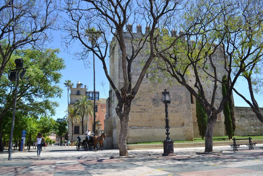 Picture 1 for Activity Jerez de la Frontera: 1.5-Hour Walking Tour with a Guide