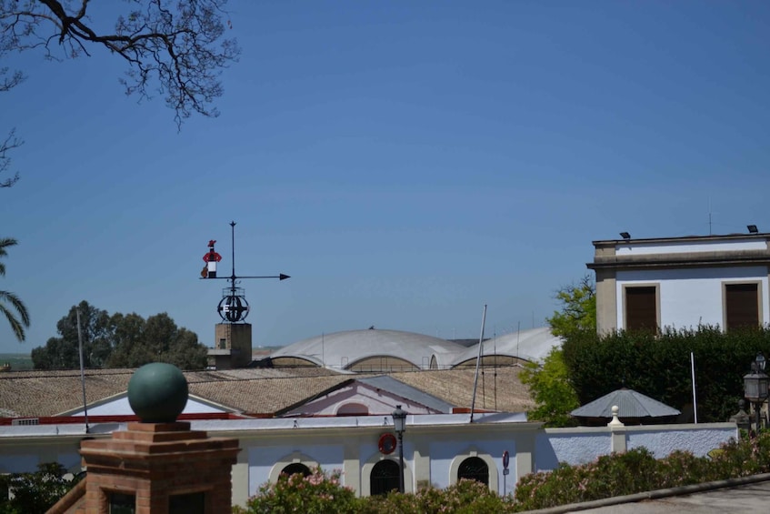 Picture 4 for Activity Jerez de la Frontera: 1.5-Hour Walking Tour with a Guide