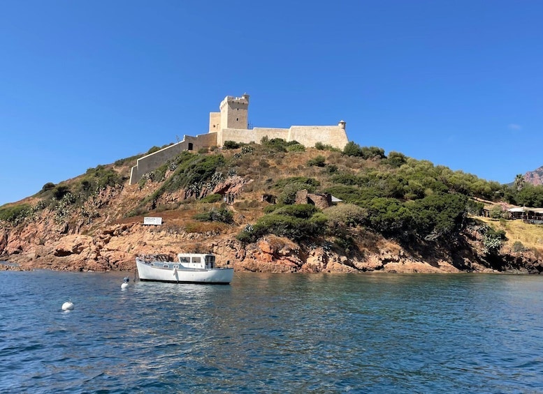 Picture 9 for Activity Cargèse: Scandola and Piana Boat Tour with Stop at Girolata