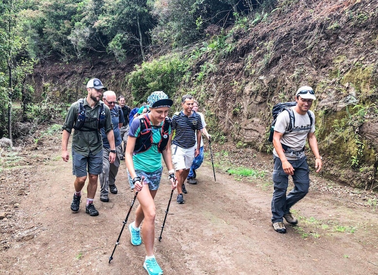 Picture 2 for Activity From Funchal or Caniço: Private Hiking Trip with a Local