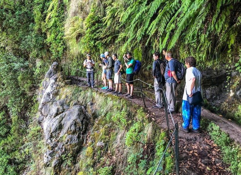 Picture 3 for Activity From Funchal or Caniço: Private Hiking Trip with a Local