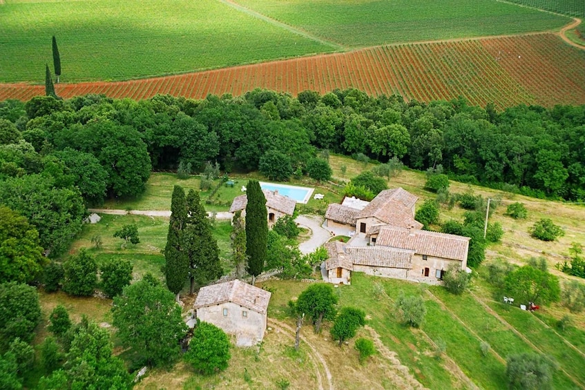 Picture 16 for Activity Siena countryside: cooking class in a real Tuscan farmhouse