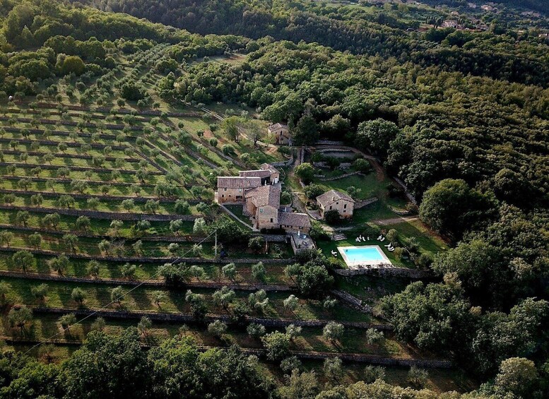 Picture 9 for Activity Siena countryside: cooking class in a real Tuscan farmhouse