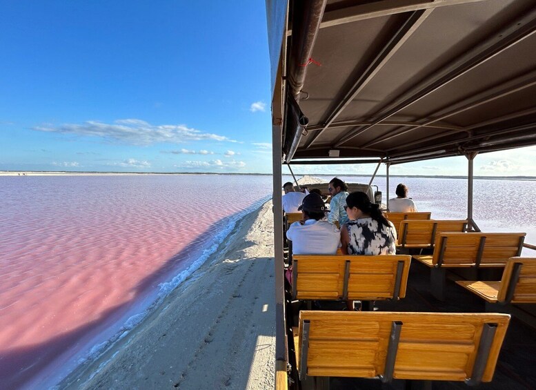 Safari tour around the pink lakes of Las Coloradas