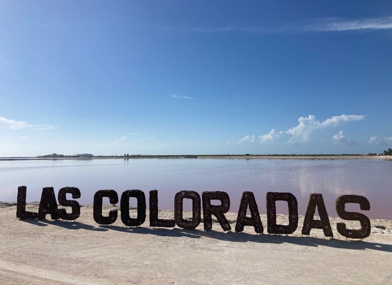 Picture 5 for Activity Las Coloradas: Pink Lakes Safari Tour