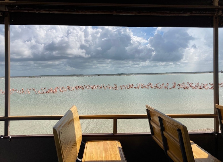 Picture 12 for Activity Las Coloradas: Pink Lakes Safari Tour