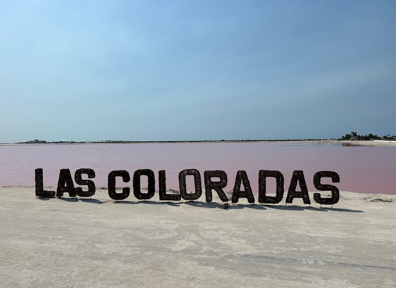 Picture 8 for Activity Las Coloradas: Pink Lakes Safari Tour