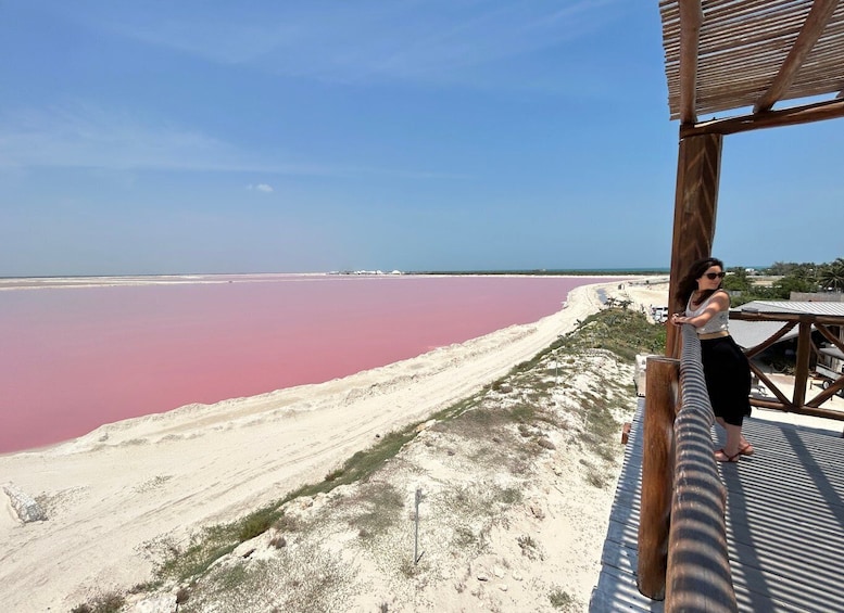 Picture 10 for Activity Safari tour around the pink lakes of Las Coloradas