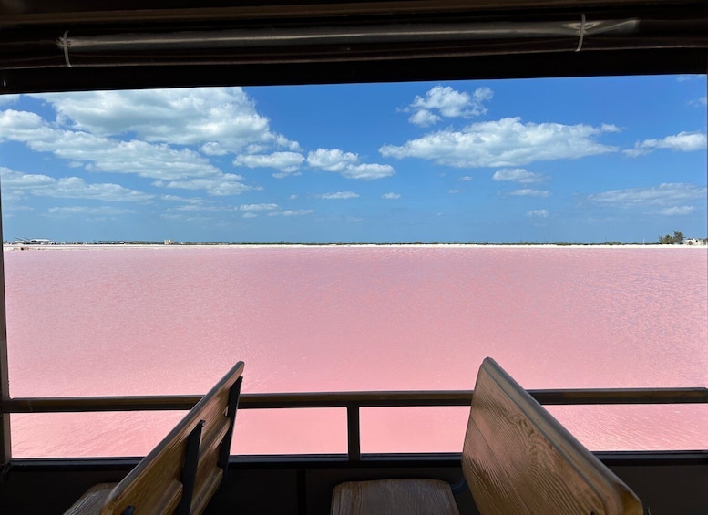 Picture 13 for Activity Las Coloradas: Pink Lakes Safari Tour