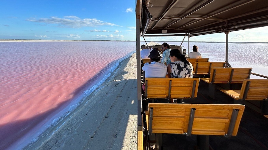 Las Coloradas: Pink Lakes Safari Tour