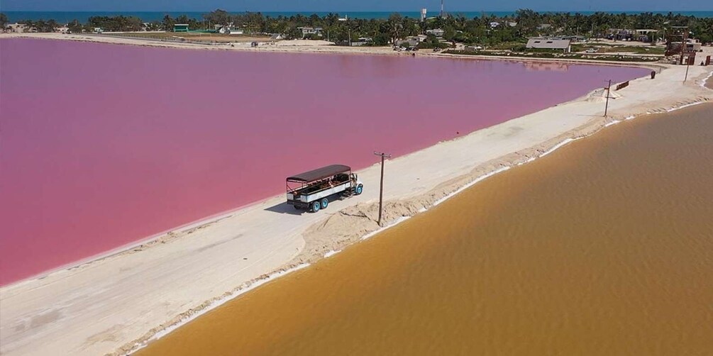 Picture 13 for Activity Las Coloradas: Pink Lakes Safari Tour