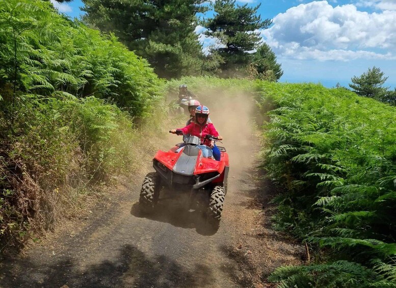 Picture 3 for Activity Etna Quad Tour with private transport