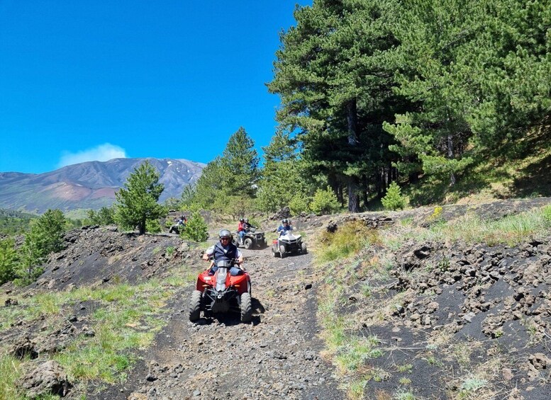 Picture 2 for Activity Etna Quad Tour with private transport