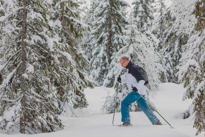 Picture 9 for Activity From Oslo: Oslomarka Forest Guided Snowshoeing Tour