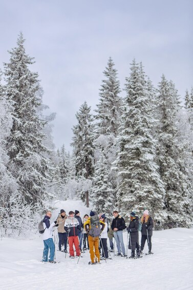 Picture 10 for Activity From Oslo: Oslomarka Forest Guided Snowshoeing Tour