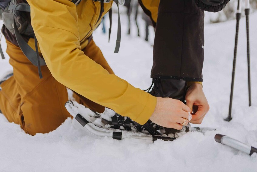 Picture 1 for Activity From Oslo: Oslomarka Forest Guided Snowshoeing Tour