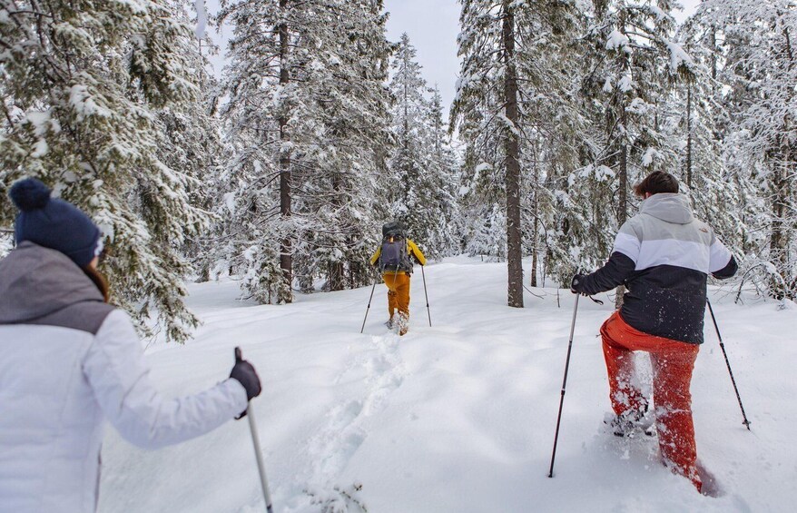 Picture 8 for Activity From Oslo: Oslomarka Forest Guided Snowshoeing Tour