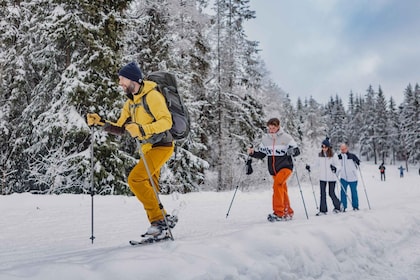 Depuis Oslo : Raquettes guidées dans la forêt d'Oslomarka excursion