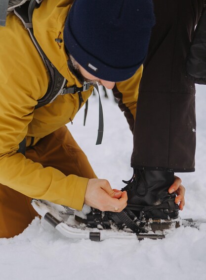 Picture 2 for Activity From Oslo: Oslomarka Forest Guided Snowshoeing Tour