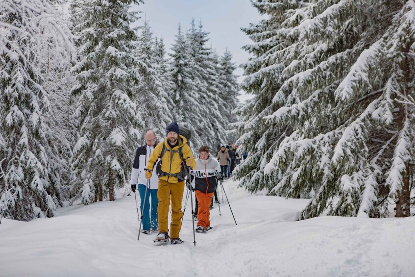 Picture 6 for Activity From Oslo: Oslomarka Forest Guided Snowshoeing Tour